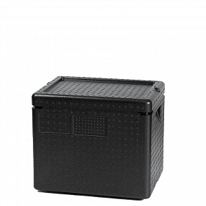 Термоконтейнер (термобокс) 395х298х340 мм, 21,5 л [TWINBOX] 